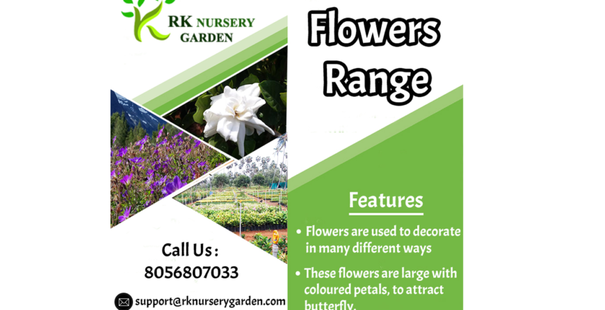flower-range-rknursery garden