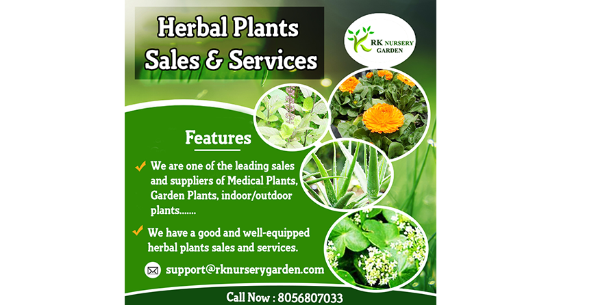 herbal plants - rknurserygarden
