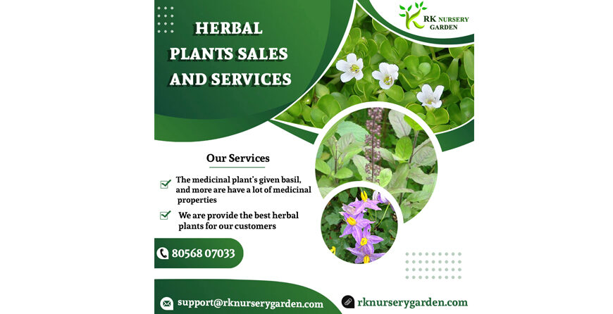 herbal plants sales and services