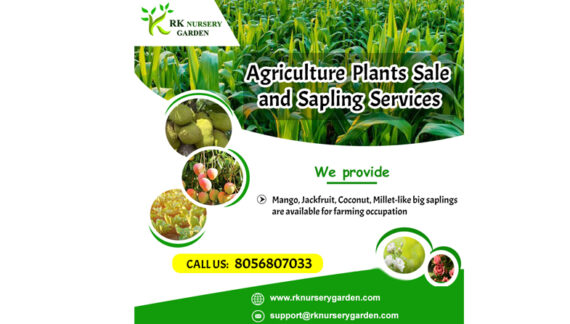 Agriculture Plants sale and Sapling Services