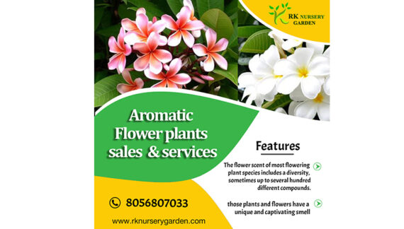 Aromatic Flower Plants Sales and Services